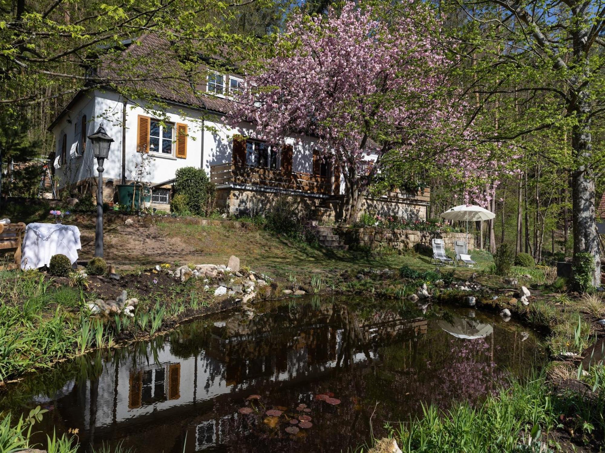 Charming Apartment In Wei Enbrunn Near Forest Weissenbrunn Bagian luar foto